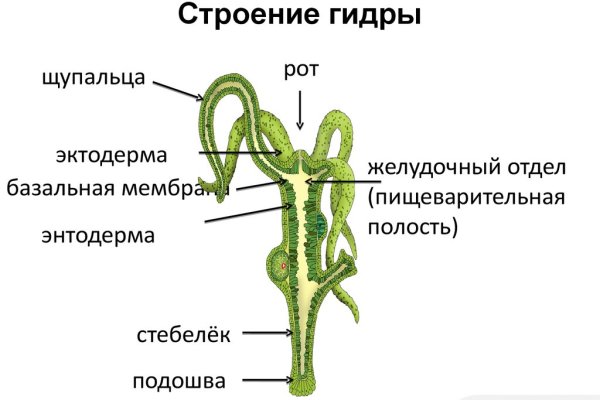 Кракен 16 вход